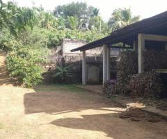 🏭 Business Opportunity! Cinnamon Leaf Oil Boiler Factory for Sale in Karamatiya, Walasmulla! 🌿💰 - 9