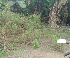 🏡 Prime 6.45 Perch Land for Sale in Homagama, Vimana Road! ✨ (Close to Kottawa Highway)