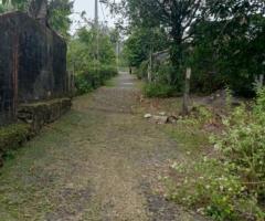 🏡 Prime 6.45 Perch Land for Sale in Homagama, Vimana Road! ✨ (Close to Kottawa Highway) - 2