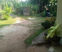🌴 90 Perch Land with House for Sale in Kimabulapitiya, Negombo! 🏡 (Facing 2 Roads) - 2