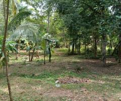 🌴 90 Perch Land with House for Sale in Kimabulapitiya, Negombo! 🏡 (Facing 2 Roads) - 4