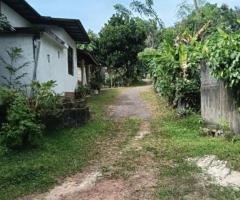 🌴 90 Perch Land with House for Sale in Kimabulapitiya, Negombo! 🏡 (Facing 2 Roads) - 5