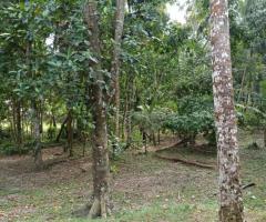 🌴 90 Perch Land with House for Sale in Kimabulapitiya, Negombo! 🏡 (Facing 2 Roads) - 6