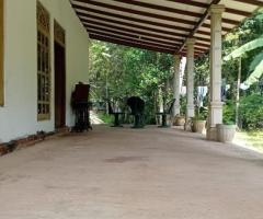 🌴 90 Perch Land with House for Sale in Kimabulapitiya, Negombo! 🏡 (Facing 2 Roads) - 8