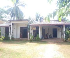 🏡 Prime 30 Perch Land with House for Sale in Thimbirigadawala, Anuradhapura - On Colombo Road!