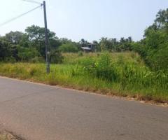 🏡 Prime 30 Perch Land with House for Sale in Thimbirigadawala, Anuradhapura - On Colombo Road! - 10