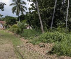 🌴 400 Perch Land for Sale Near Tangalle Town! 🏖️ Ideal Investment for a Tourism Project! 🌟 - 4