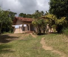 🌴 400 Perch Land for Sale Near Tangalle Town! 🏖️ Ideal Investment for a Tourism Project! 🌟 - 5