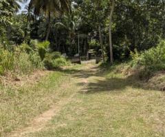 🌴 400 Perch Land for Sale Near Tangalle Town! 🏖️ Ideal Investment for a Tourism Project! 🌟 - 6