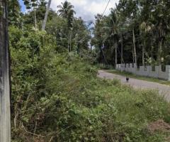 🌴 400 Perch Land for Sale Near Tangalle Town! 🏖️ Ideal Investment for a Tourism Project! 🌟 - 7