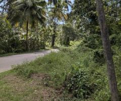 🌴 400 Perch Land for Sale Near Tangalle Town! 🏖️ Ideal Investment for a Tourism Project! 🌟 - 8
