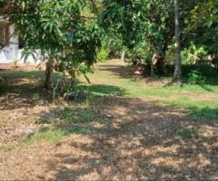 🌳 3 Acre 20 Perch Land with House for Sale on Kurunegala-Negombo Road! 🥭🏡 - 5