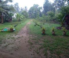 🌾 120 Perch Land with House for Sale in Kandepola Welpalla, Pannala! 🏡✨