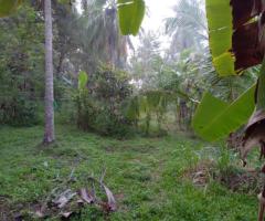 🌾 120 Perch Land with House for Sale in Kandepola Welpalla, Pannala! 🏡✨ - 3