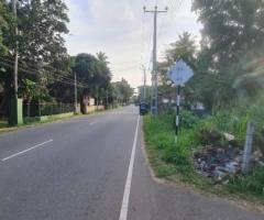 Prime 11.3 Perch Land for Sale in Madampella, Chilaw - Barrack Watta - 3
