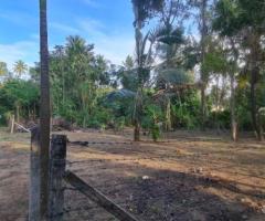 Prime 11.3 Perch Land for Sale in Madampella, Chilaw - Barrack Watta - 4