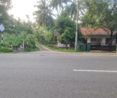 Prime 11.3 Perch Land for Sale in Madampella, Chilaw - Barrack Watta - 5