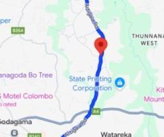 🌴 36 Perch Coconut Land for Sale in Artigala, Homagama! 🏡✨ (20m to 219 Bus Route) - 4