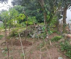 🏡 Prime 15 Perch Land for Sale Near Kadana-Ganemulla Road! ✨ (150m to Main Road)