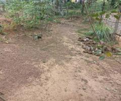 🏡 Prime 15 Perch Land for Sale Near Kadana-Ganemulla Road! ✨ (150m to Main Road) - 2