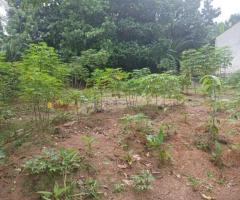 🏡 Prime 15 Perch Land for Sale Near Kadana-Ganemulla Road! ✨ (150m to Main Road) - 3