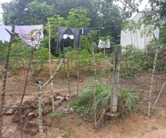 🏡 Prime 15 Perch Land for Sale Near Kadana-Ganemulla Road! ✨ (150m to Main Road) - 9