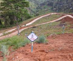 Land for sale in Nuwara Eliya - 2