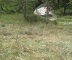 Land for sale in Nuwara Eliya - 3