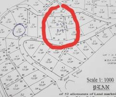 Land for sale in Nuwara Eliya - 4