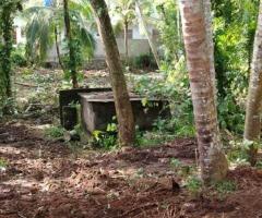 Exclusive Land for Sale in Hapugala, Galle - Your Dream Home or a Smart Investment! 🌳🏡✨