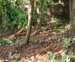 Exclusive Land for Sale in Hapugala, Galle - Your Dream Home or a Smart Investment! 🌳🏡✨ - 2