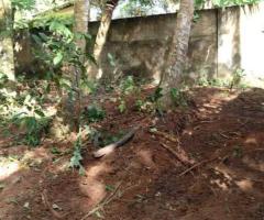 Exclusive Land for Sale in Hapugala, Galle - Your Dream Home or a Smart Investment! 🌳🏡✨ - 6