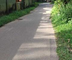 Exclusive Land for Sale in Hapugala, Galle - Your Dream Home or a Smart Investment! 🌳🏡✨ - 7