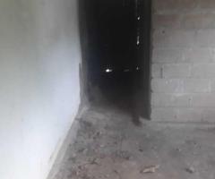 🏡 Valuable Land with a House Near Kandy - Your Perfect Opportunity! 🌳✨ - 4