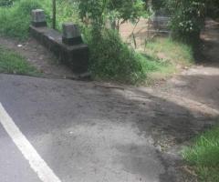 🏡 Valuable Land with a House Near Kandy - Your Perfect Opportunity! 🌳✨ - 5