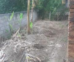 🏡 Valuable Land with a House Near Kandy - Your Perfect Opportunity! 🌳✨ - 7