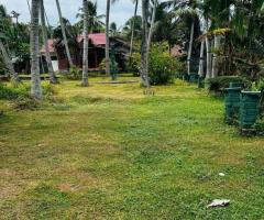 🌊 Tranquil Coastal Paradise in Marawila, Mudukatuwa - Near the Beach! (228 Perches with Cabana) 🏝️ - 3