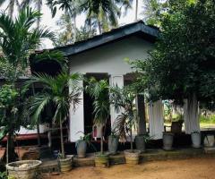 🌊 Tranquil Coastal Paradise in Marawila, Mudukatuwa - Near the Beach! (228 Perches with Cabana) 🏝️ - 5