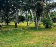 🌊 Tranquil Coastal Paradise in Marawila, Mudukatuwa - Near the Beach! (228 Perches with Cabana) 🏝️ - 7