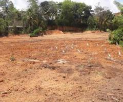 🏡 A Rare Investment Opportunity in Galle - Perfect for a Hotel, Business, or Your Own Estate! ✨ - 2