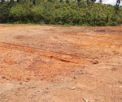 🏡 A Rare Investment Opportunity in Galle - Perfect for a Hotel, Business, or Your Own Estate! ✨ - 3