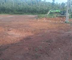 🏡 A Rare Investment Opportunity in Galle - Perfect for a Hotel, Business, or Your Own Estate! ✨ - 6