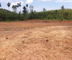 🏡 A Rare Investment Opportunity in Galle - Perfect for a Hotel, Business, or Your Own Estate! ✨ - 7