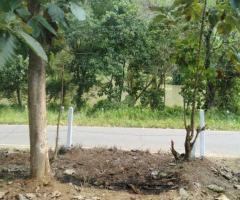 🏞️ A Prime Land in Kurunegala, Perfect for Your Dream Home or a Profitable Investment! ✨ - 2