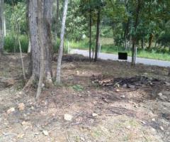 🏞️ A Prime Land in Kurunegala, Perfect for Your Dream Home or a Profitable Investment! ✨ - 4