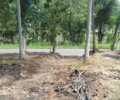 🏞️ A Prime Land in Kurunegala, Perfect for Your Dream Home or a Profitable Investment! ✨ - 6