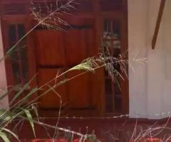 🏠️House and Land For Sale Pundaluoya Town , Kotmale 🏞️