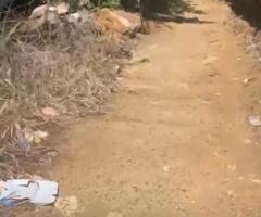 🏠️House and Land For Sale Pundaluoya Town , Kotmale 🏞️ - 3