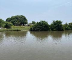 Prime Land for Commercial Use in Arachchikattuwa, Chilaw! 🏞️