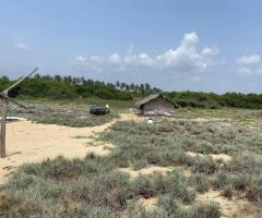 Prime Land for Commercial Use in Arachchikattuwa, Chilaw! 🏞️ - 3